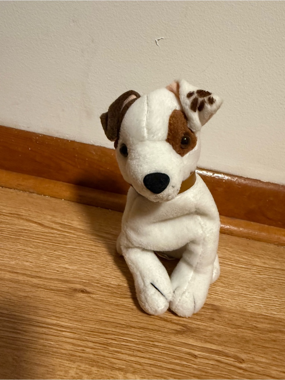 Vintage 1998 Wishbone Jack Russel Terrier 7”  Beanbag Plush! PBS